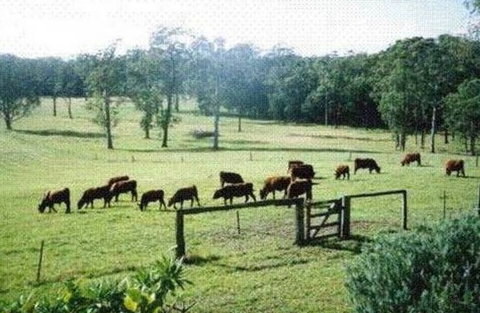 Bella Vista Cottage - Accommodation Coffs Harbour 1