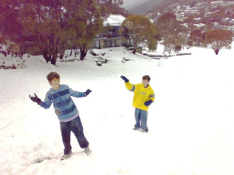 Snowbound Chalets - Accommodation Coffs Harbour 0