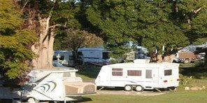 Bellinger River Tourist Park - Accommodation Coffs Harbour 3