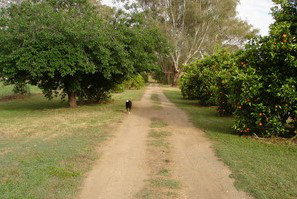 Murray Bank Holiday Units And Yabby Farm - Accommodation Coffs Harbour 5