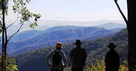 Avon View Stays - Accommodation Coffs Harbour 6