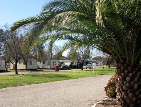 Leeton Caravan Park - Accommodation Coffs Harbour 1