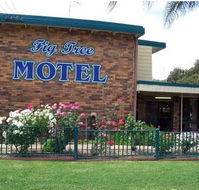 Fig Tree Motel - Accommodation Coffs Harbour