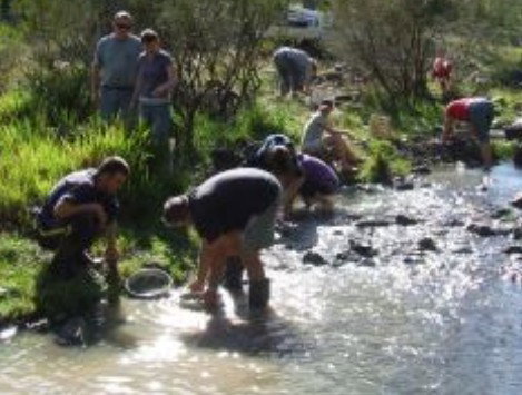 Bullock Mountain Homestead - Accommodation Coffs Harbour 1