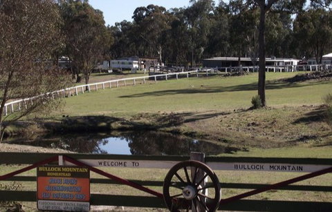 Bullock Mountain Homestead - Accommodation Coffs Harbour 4