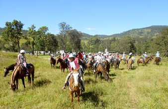 Camp Cobark - Accommodation Coffs Harbour 0