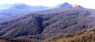 Carrowbrook NSW Accommodation Coffs Harbour