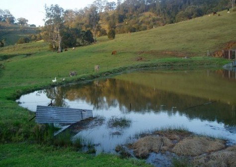 Barkeldine Farm Country Retreat - Accommodation Coffs Harbour 0
