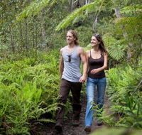 Blackheath Glen Tourist Park - Accommodation Coffs Harbour