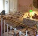 A Winter-Rose Cottage Bed and Breakfast - Accommodation Coffs Harbour