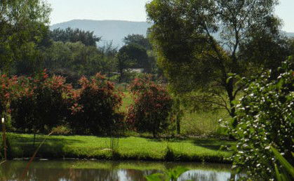 Amazing Country Escapes - Evanslea By The River - Accommodation Coffs Harbour 4
