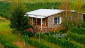 Borrodell Vineyard - Accommodation - Accommodation Coffs Harbour 0