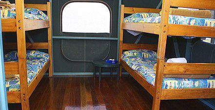 Lady Elliot Island Eco Resort - Accommodation Coffs Harbour 5