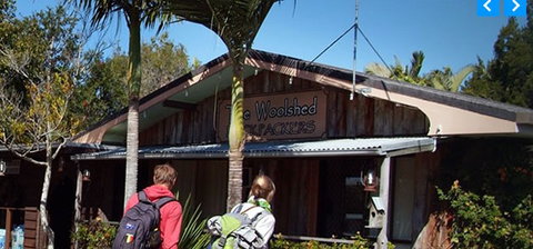 Woolshed Backpackers - Accommodation Coffs Harbour 5