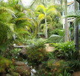 Chamomile Bed and Breakfast - Accommodation Coffs Harbour