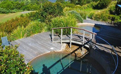 OReillys Rainforest Retreat - Accommodation Coffs Harbour 4