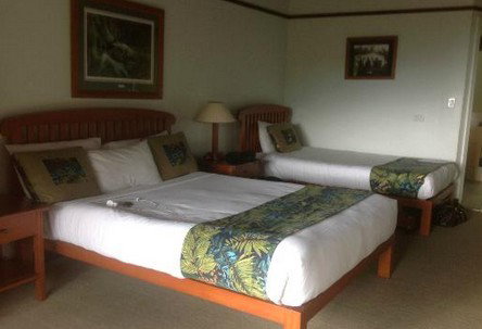 OReillys Rainforest Retreat - Accommodation Coffs Harbour 5
