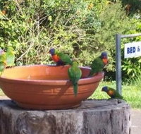 Lamb Island Bed and Breakfast - Accommodation Coffs Harbour