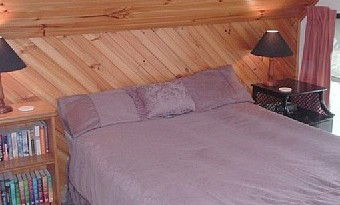 Satinwood - Holiday Home - Accommodation Coffs Harbour 2