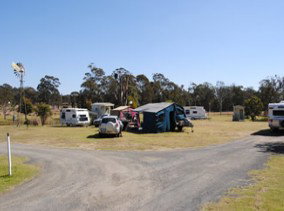 Crows Nest Caravan Park - Accommodation Coffs Harbour 2
