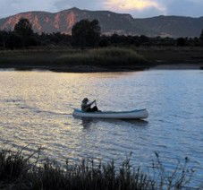 Arcadia Valley Escape - Accommodation Coffs Harbour 3