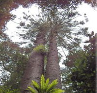 Moorlands Country Retreat - Accommodation Coffs Harbour