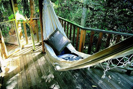 Narrows Escape Rainforest Retreat - Accommodation Coffs Harbour 0