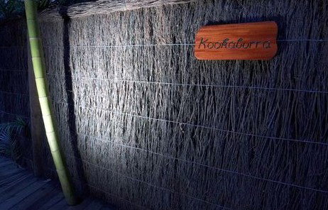 Narrows Escape Rainforest Retreat - Accommodation Coffs Harbour 1