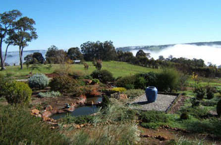 Shambhala Guesthouse - Accommodation Coffs Harbour 0