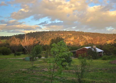 Lavendale Farmstay And Cottages - Accommodation Coffs Harbour 4