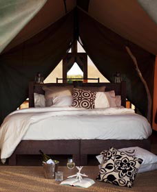 Sal Salis Ningaloo Reef - Accommodation Coffs Harbour 0