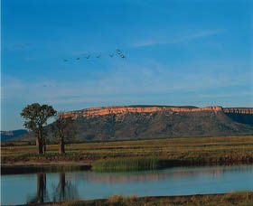 El Questro Homestead - Accommodation Coffs Harbour 0