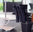 Central Parklands - Accommodation Coffs Harbour
