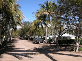 Alva Beach Tourist Park - Accommodation Coffs Harbour 0