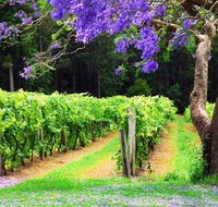 Bago Vineyards - Accommodation Coffs Harbour