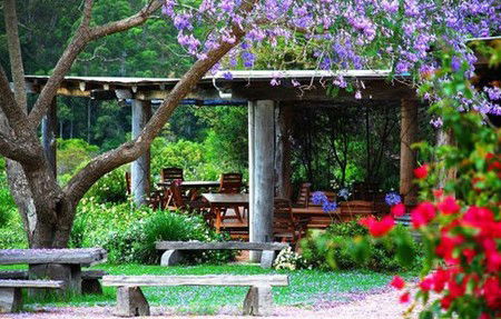 Bago Vineyards - Accommodation Coffs Harbour 1