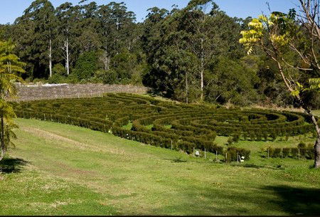 Bago Vineyards - Accommodation Coffs Harbour 2