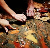 Daintree Eco Lodge And Spa - Accommodation Coffs Harbour