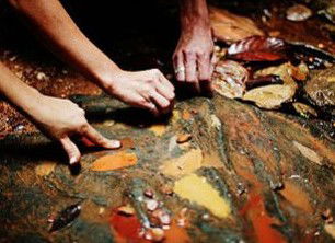 Daintree Eco Lodge And Spa - Accommodation Coffs Harbour 0