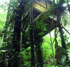 Daintree Eco Lodge And Spa - Accommodation Coffs Harbour 1