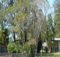 Nimbin Backpackers at Grannys Farm - Accommodation Coffs Harbour