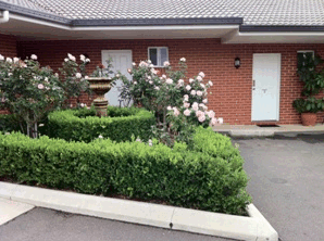 Akuna Motor Inn - Accommodation Coffs Harbour 4