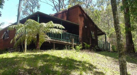 Hookes Creek Forest Retreat - Accommodation Coffs Harbour 2