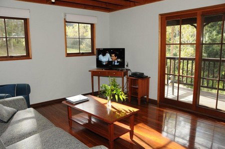 Hookes Creek Forest Retreat - Accommodation Coffs Harbour 3