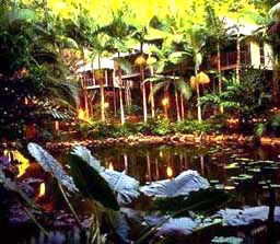Daintree Eco Lodge And Spa - Accommodation Coffs Harbour 3