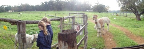 Donnybrook WA Accommodation Coffs Harbour