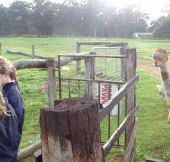 Boronia Farm Farmstay - Accommodation Coffs Harbour