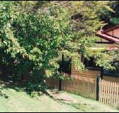 Apple Tree Cottage - Accommodation Coffs Harbour