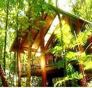The Canopy Treehouses - Accommodation Coffs Harbour