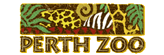 Perth Zoo - Accommodation Coffs Harbour